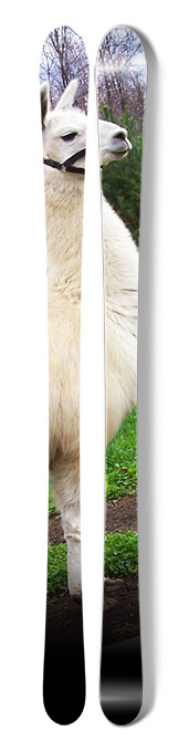 Llama Skis (NS/J)