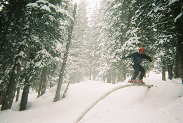 Log ride in the woods of brighton