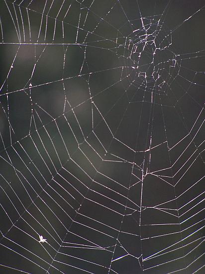 Long Since Abandoned