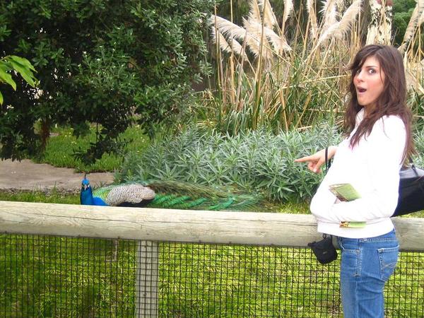 look at that cock hehe!@!