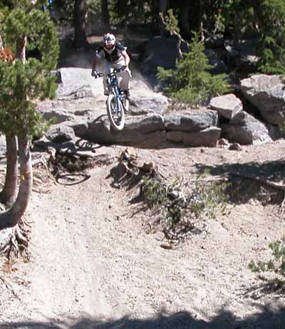 Look out for the stump