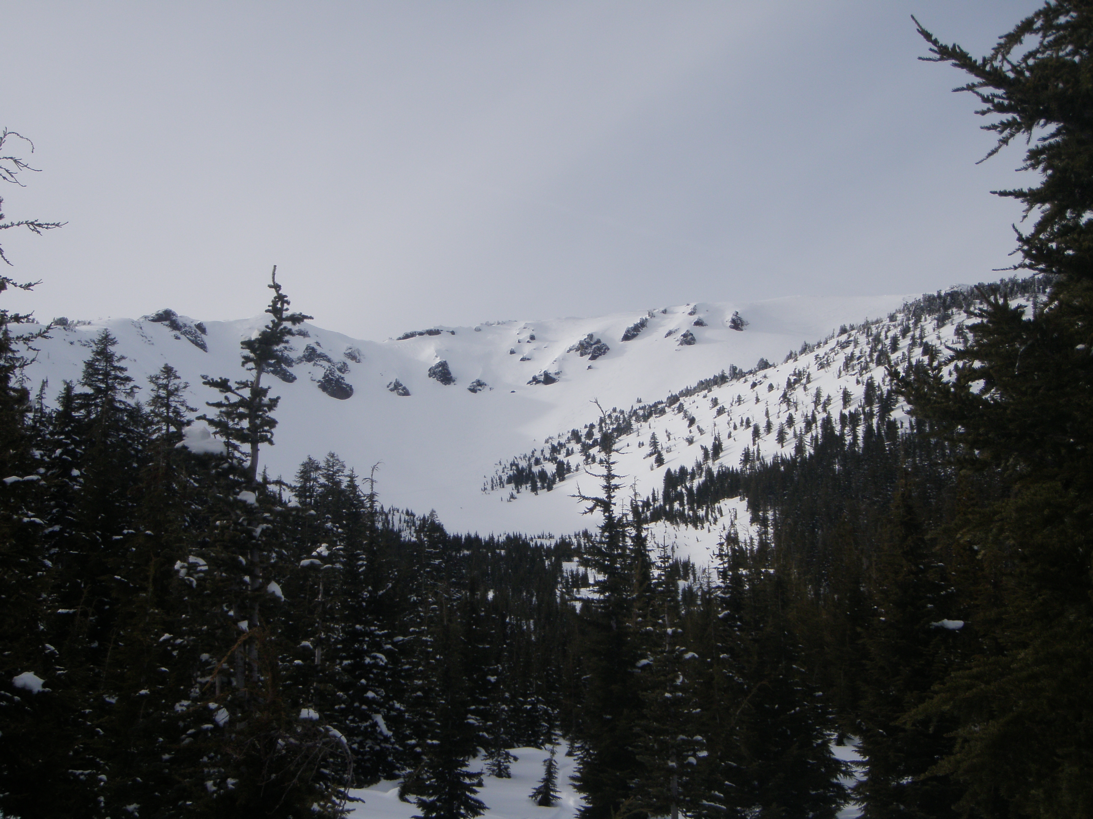 Look what we got to ski