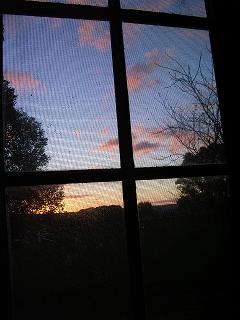 looking out the window style