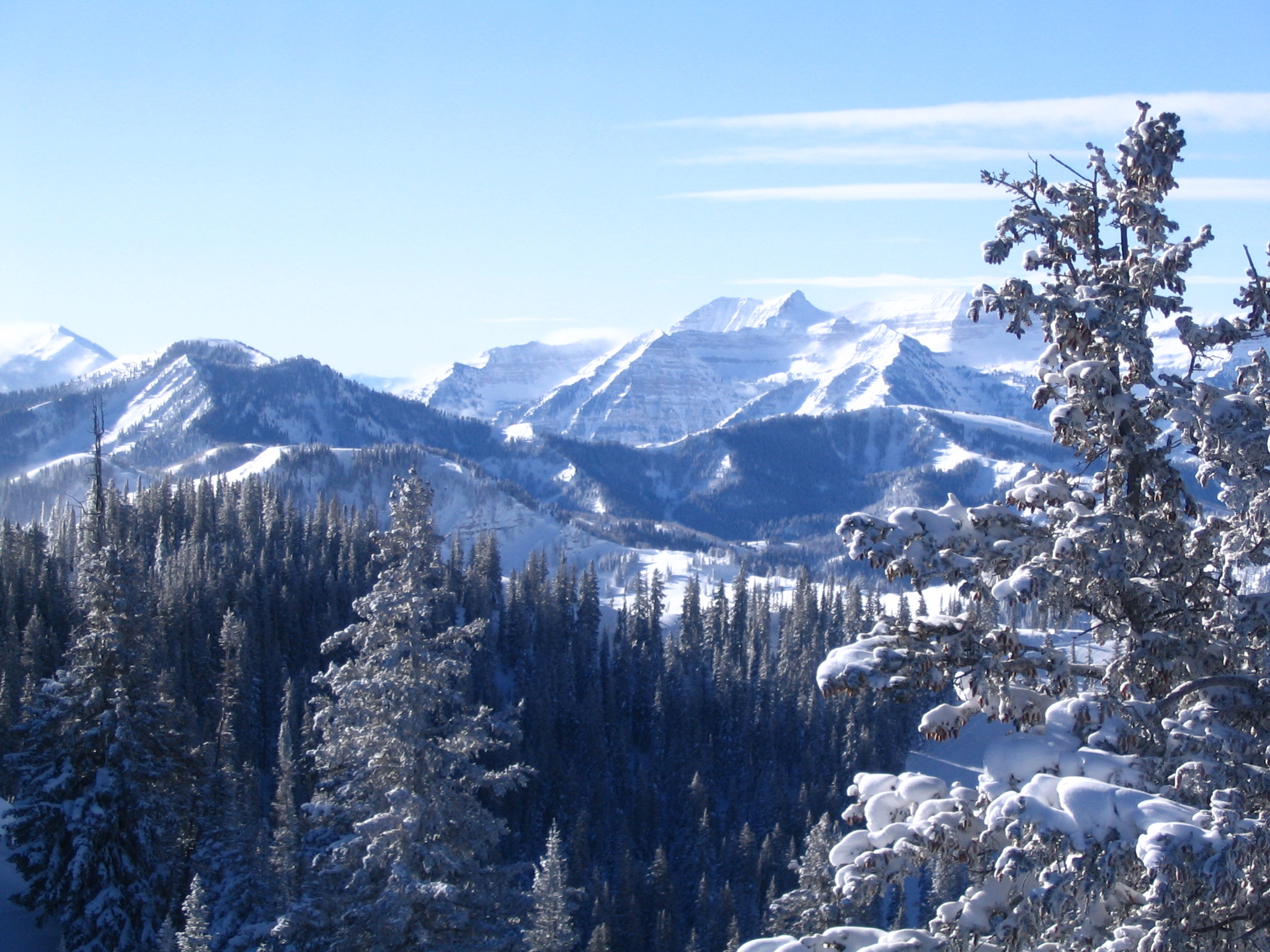 Looking towards grizzly Gulch