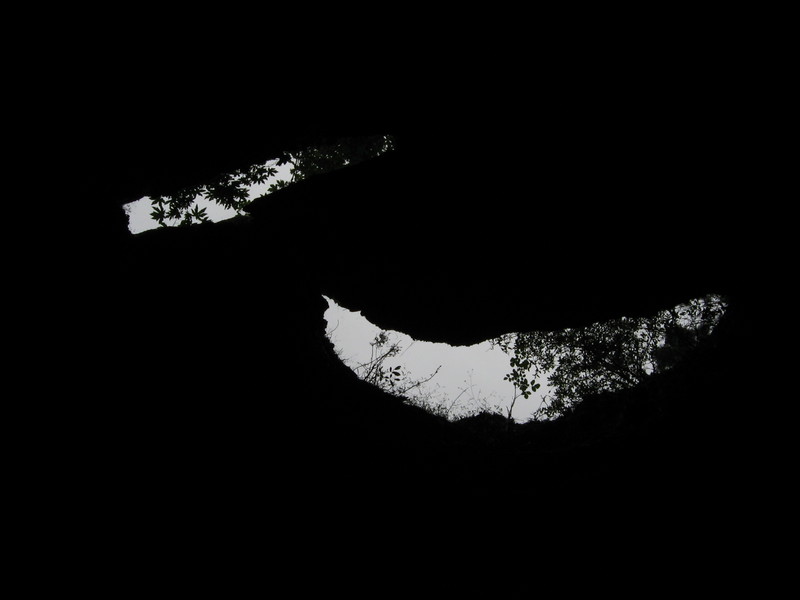 Looking up in the cave