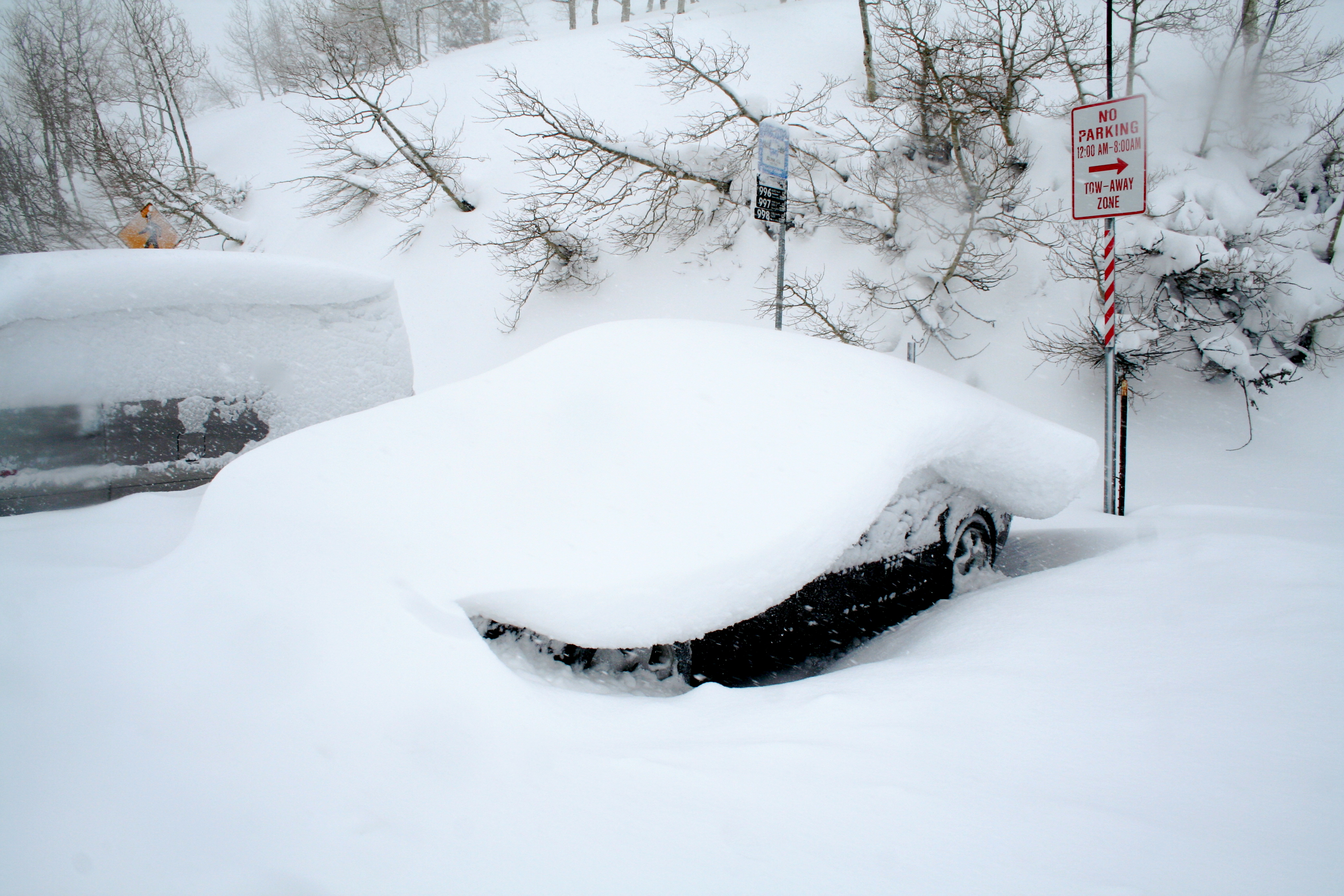 Looks like a pancake of snow fell on my car.