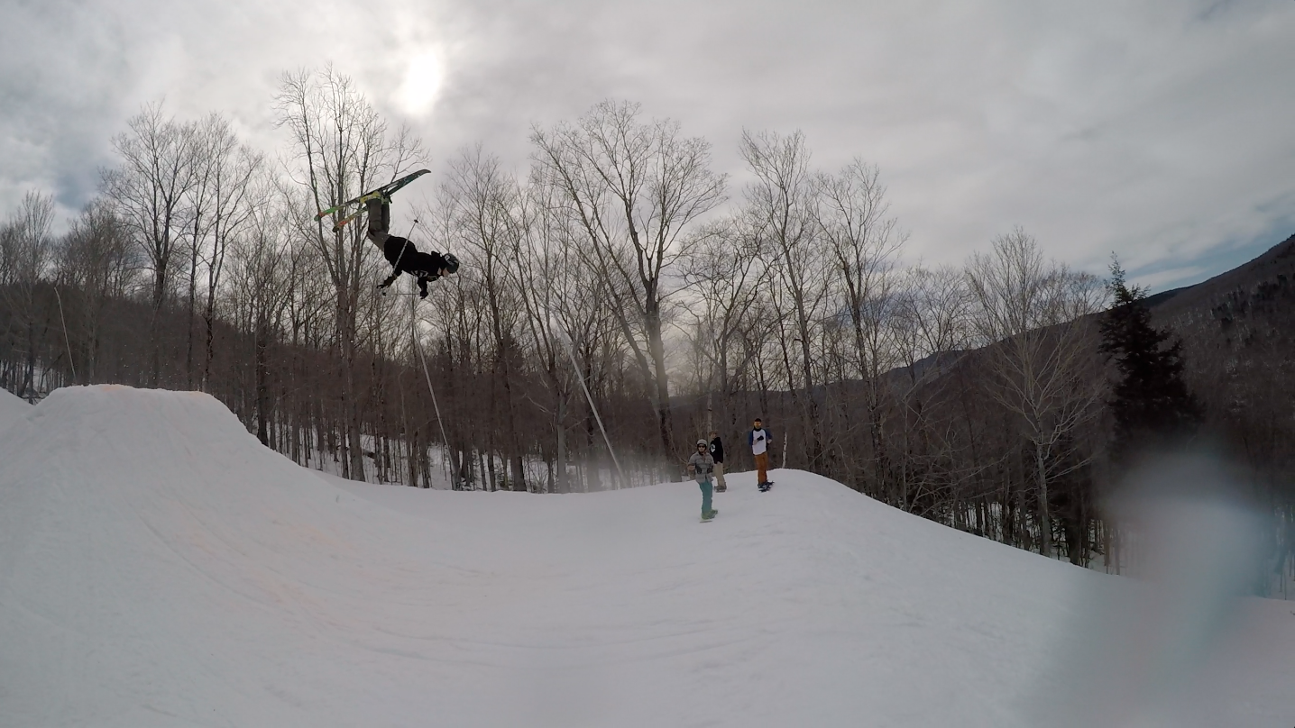 Loon Spring Time