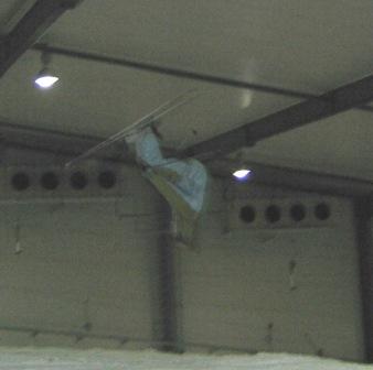 Lowww backy.. indoor