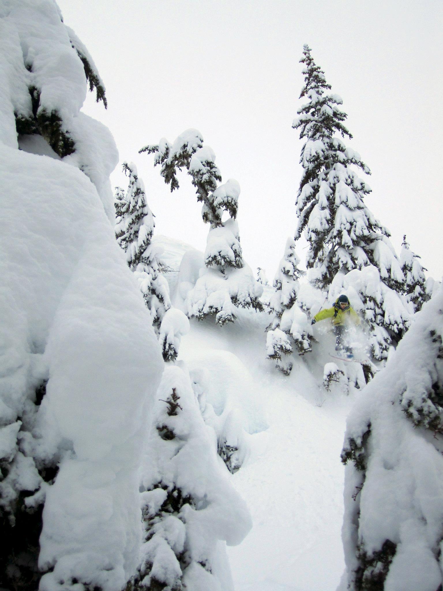 LP photo contest winner