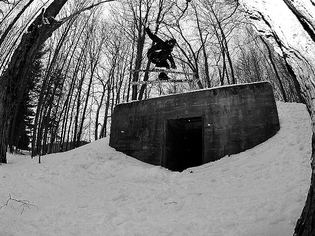 Lurking in the woods.