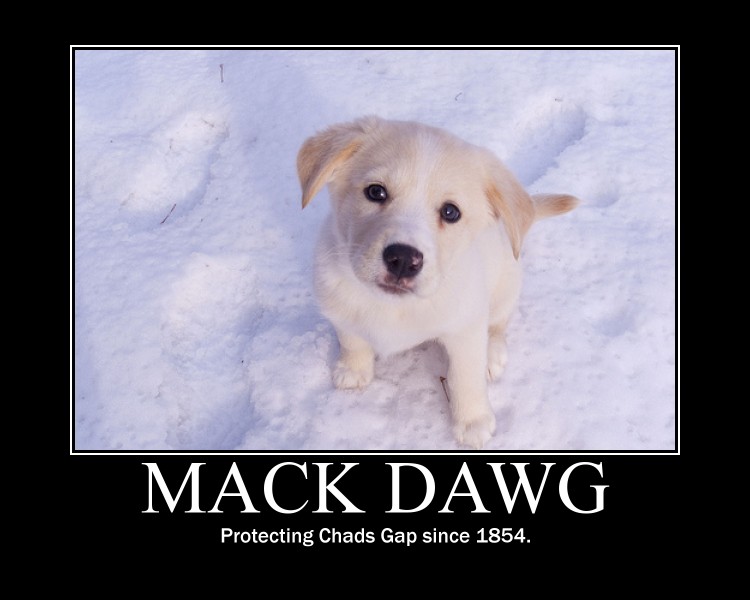 Mack Dawg