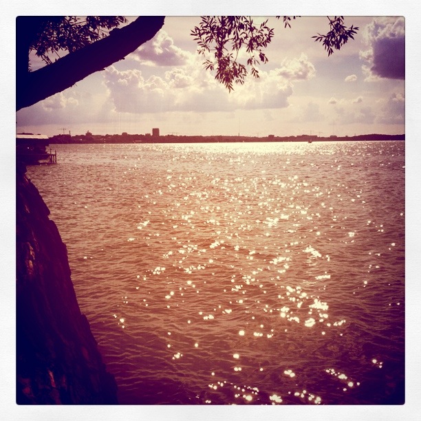 Madison in the summer