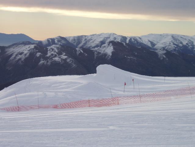 Majestic Table In Full Bloom August 25th