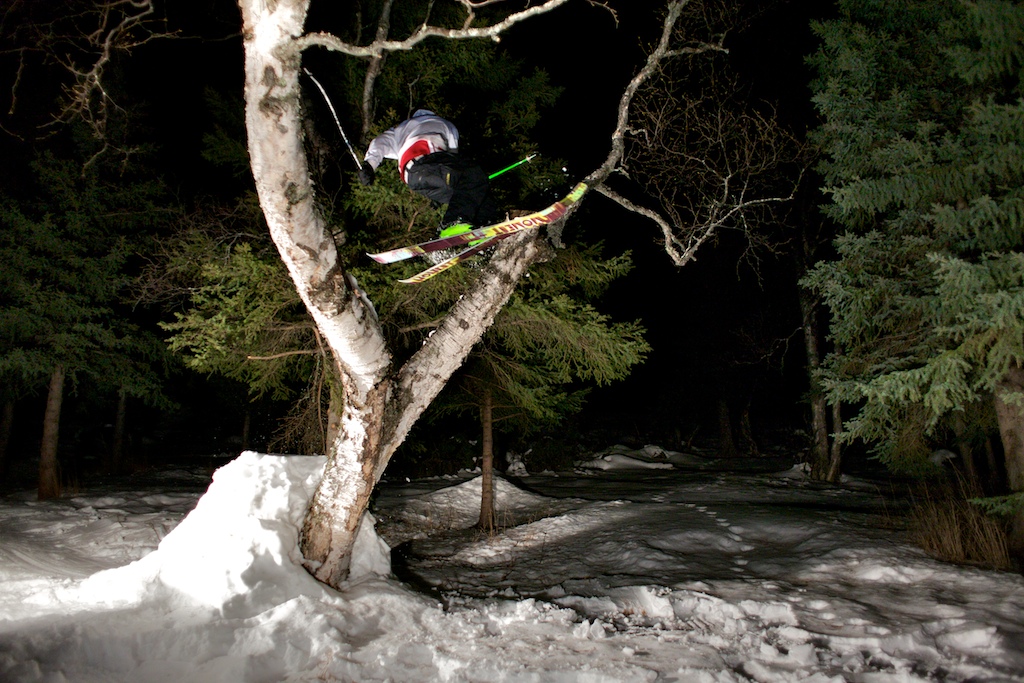 Mammoth bonk 3 though tree!