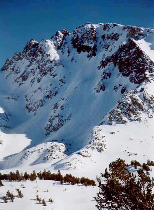 mammoth has more than park - heres some bc action