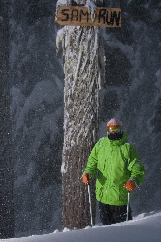 March 7th in the PNW