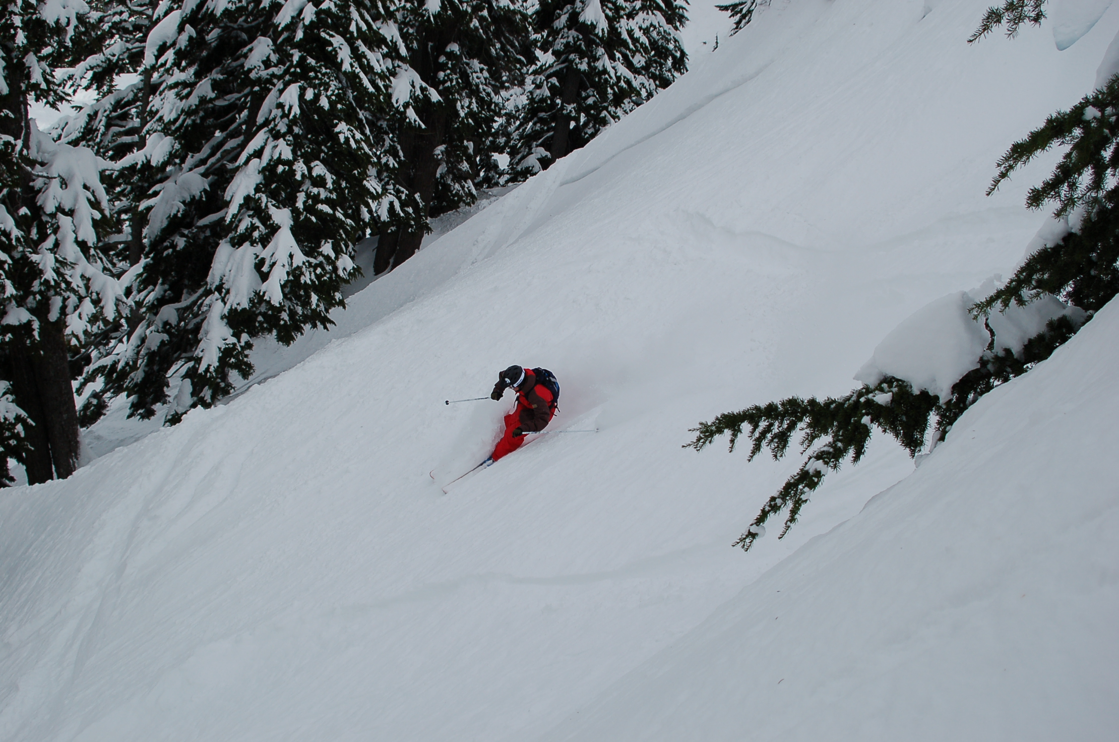 March Pow Days