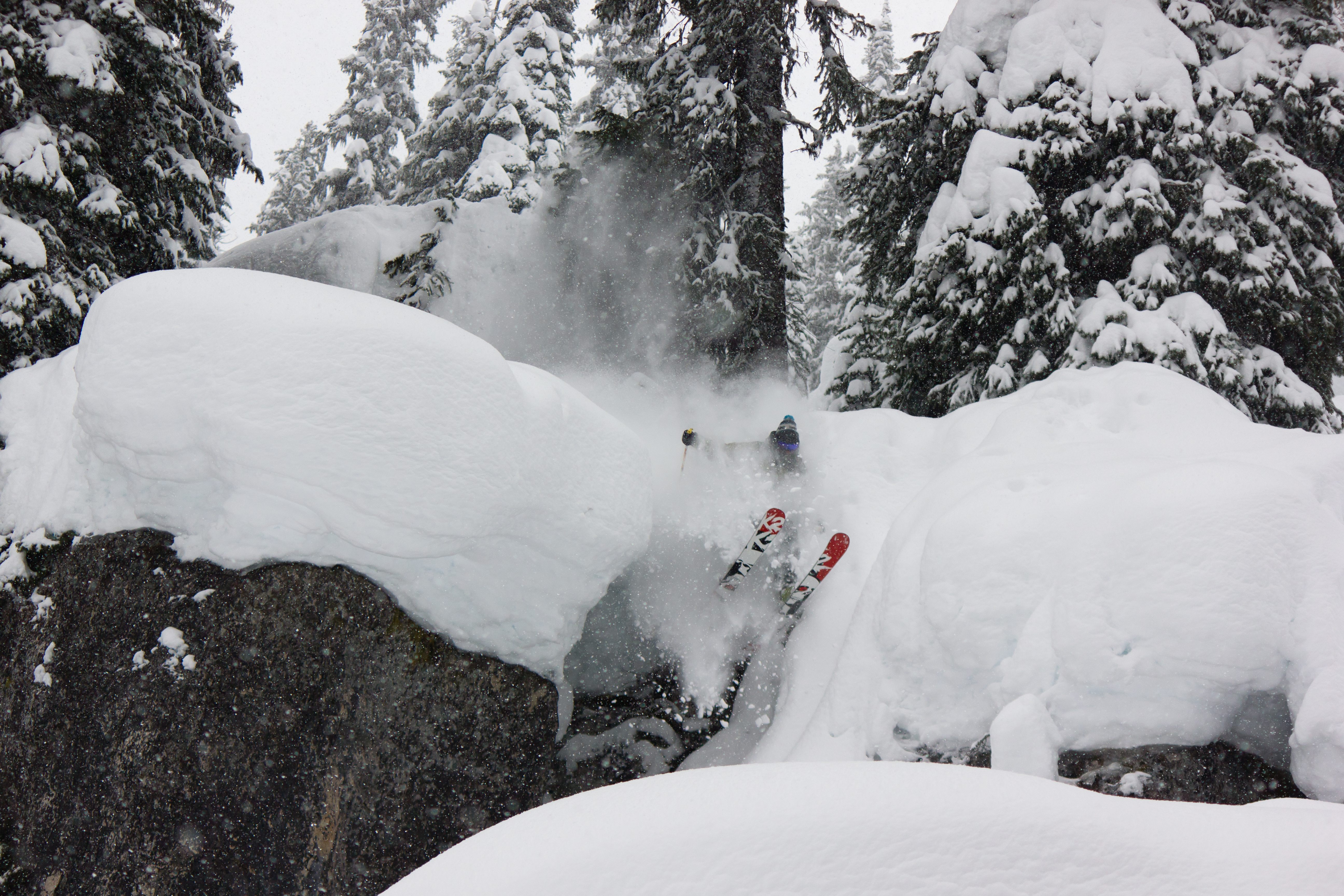 Marshmellow Sandwich