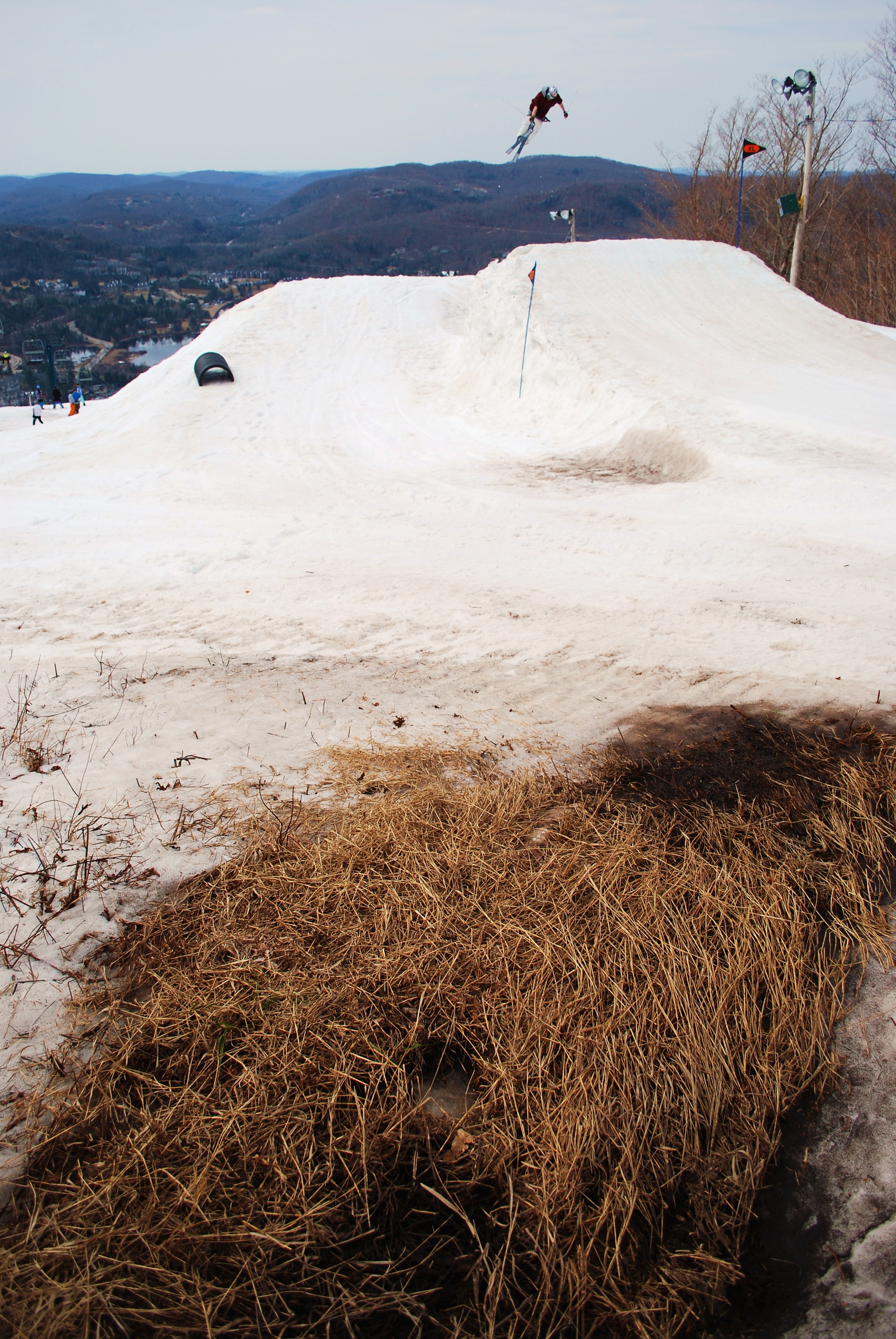 Max Morello Sw 7 nose