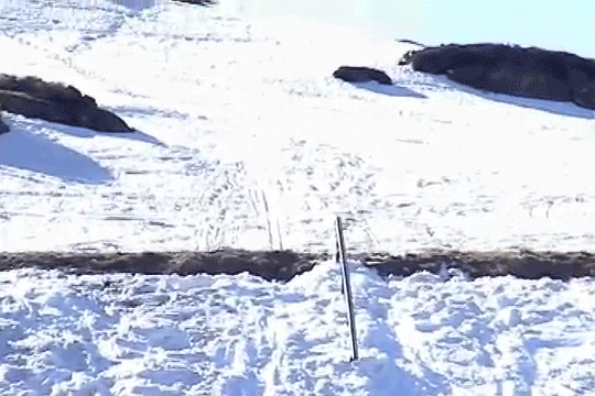 McMurray road gap flip to rail