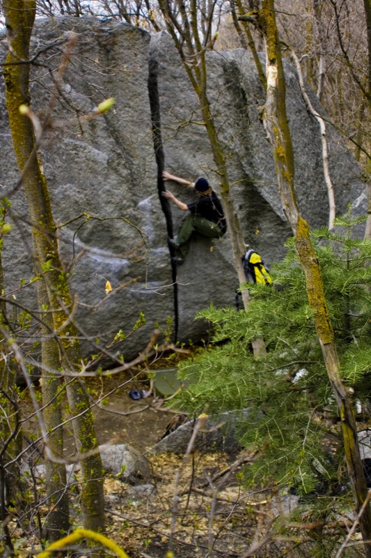 McRae Williams V1 crack