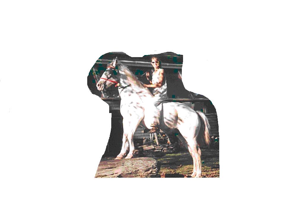 me and my horse, cheif