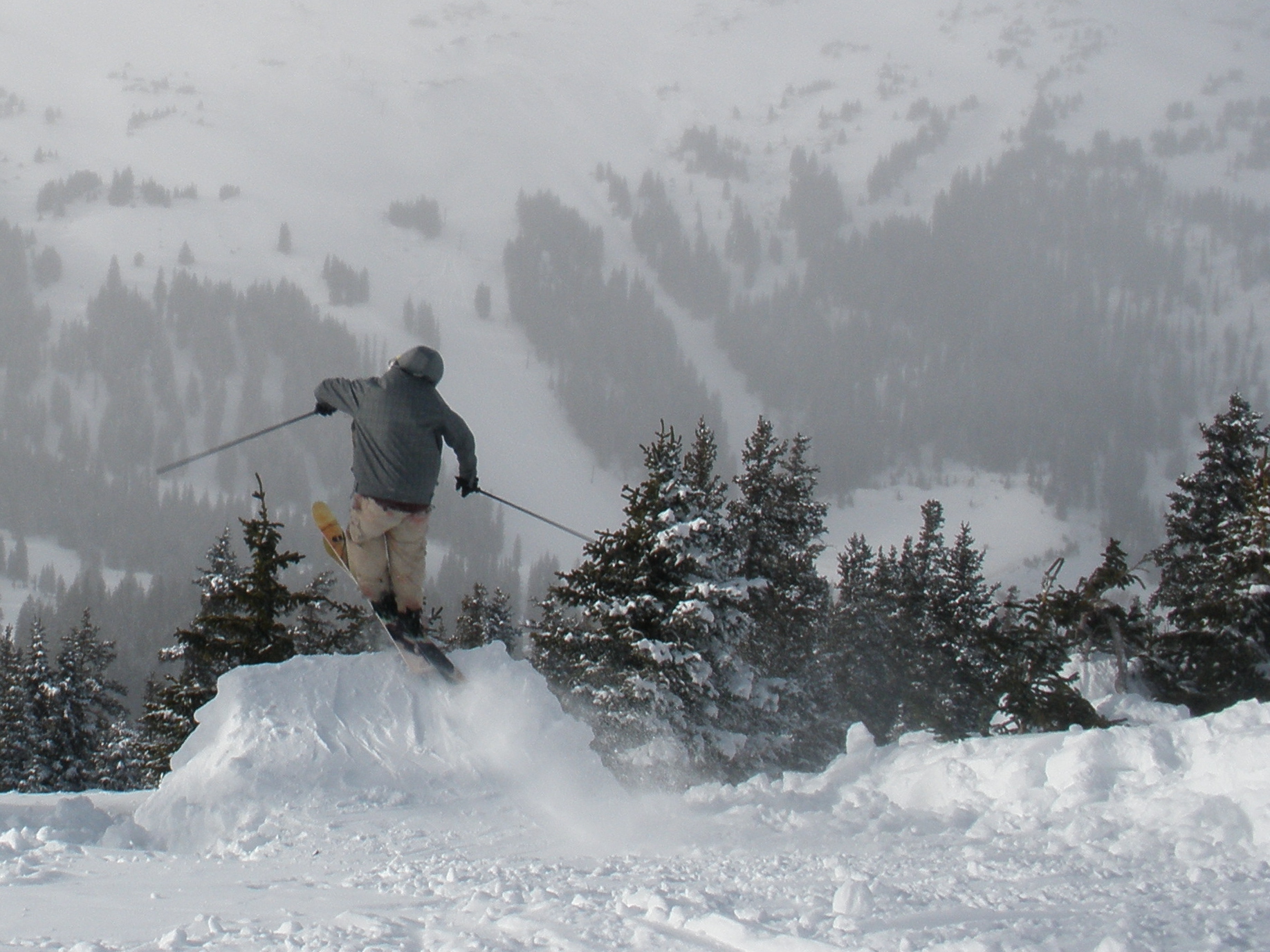 Me Jumping over the Tree