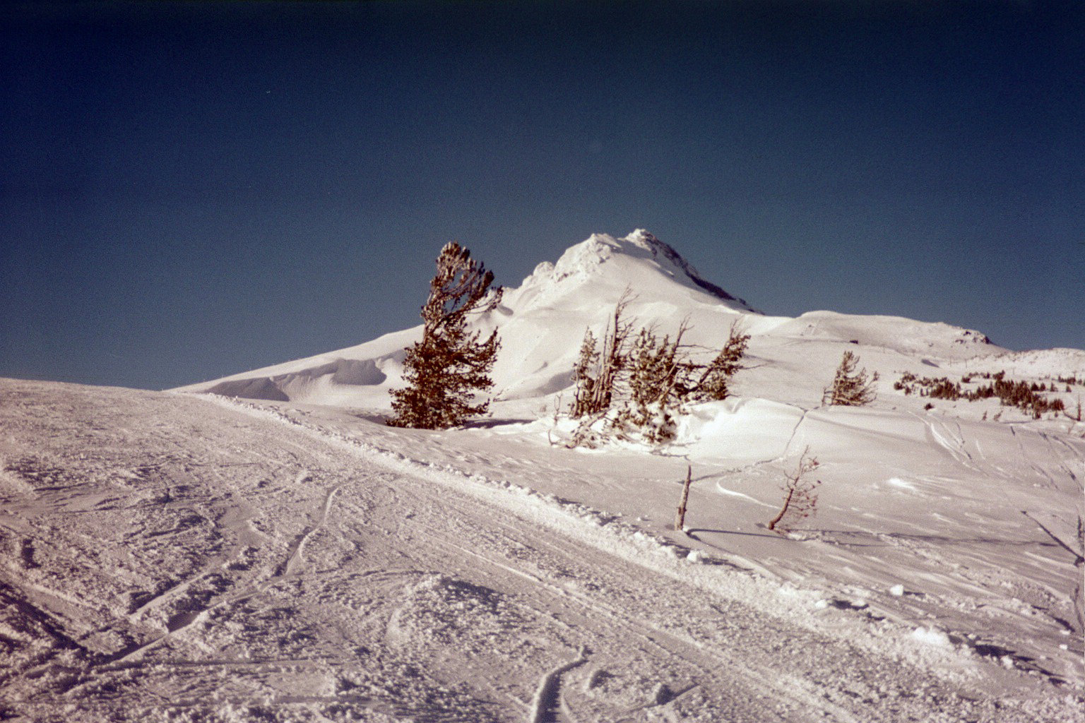 Meadows in the morning - 1 of 2
