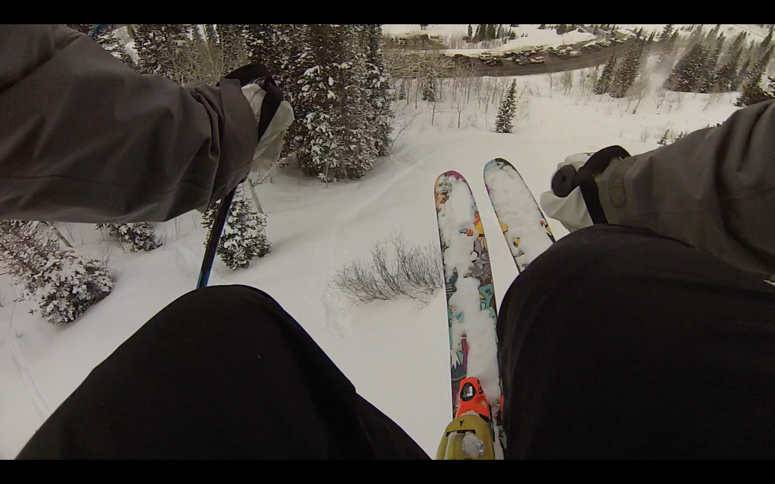 Meatball at the Bird