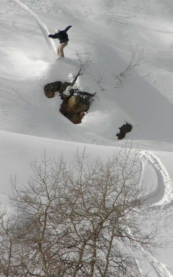 Mellow little drop we found in the Brighton Backcountry