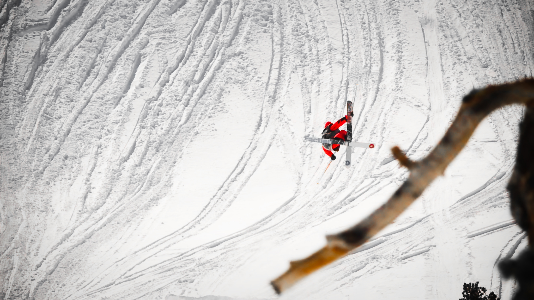 Mertion_Forward9-California