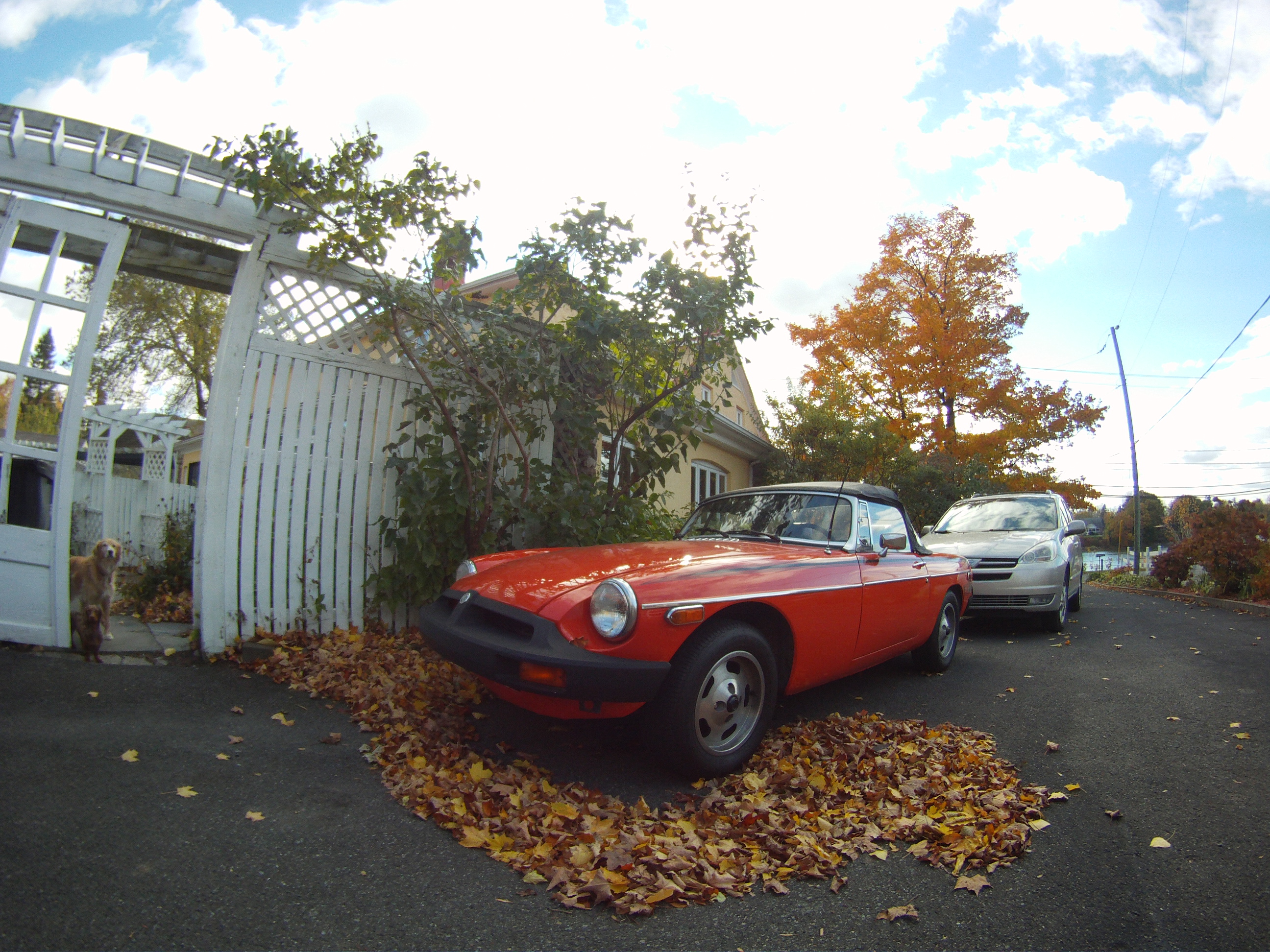 mgb