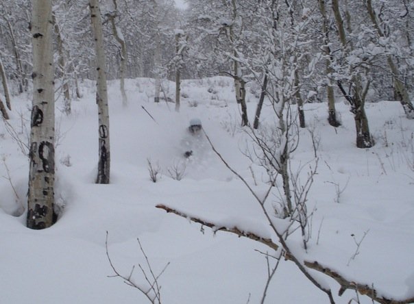 Mike Reed Shredding Pow