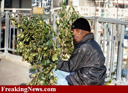 mike tyson is homeless