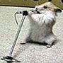 Mikey the singing wonder