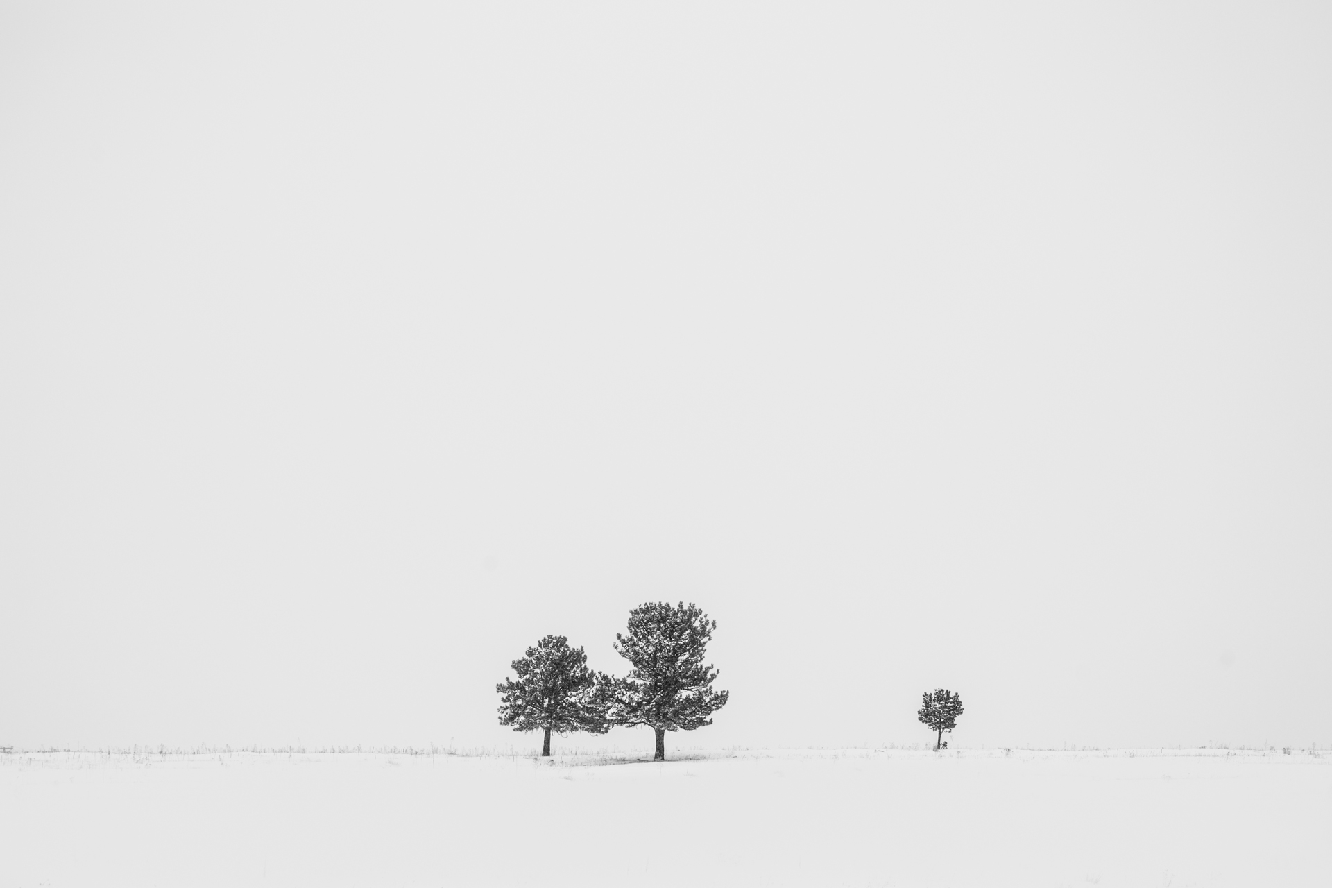 Minimal Snowstorm
