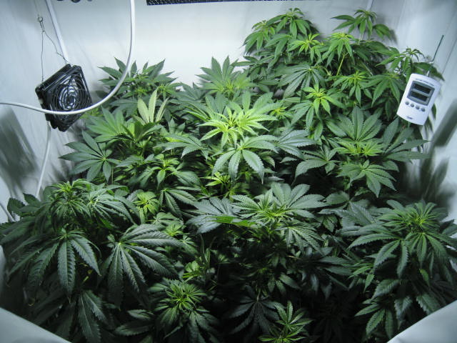 Mmmm  can you smell the serenity..