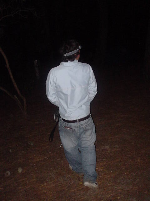 MMMM...that's semms to be the same night!