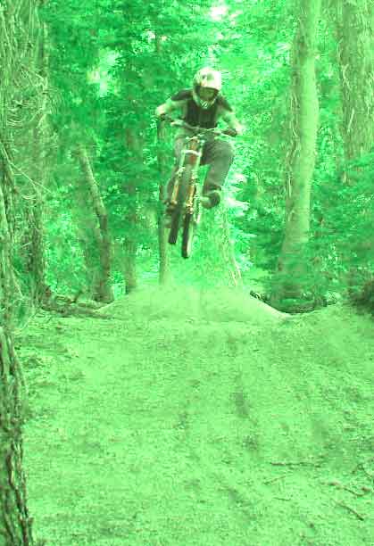 mmmmmmmmm green trees