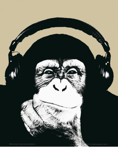 Monkeystyle