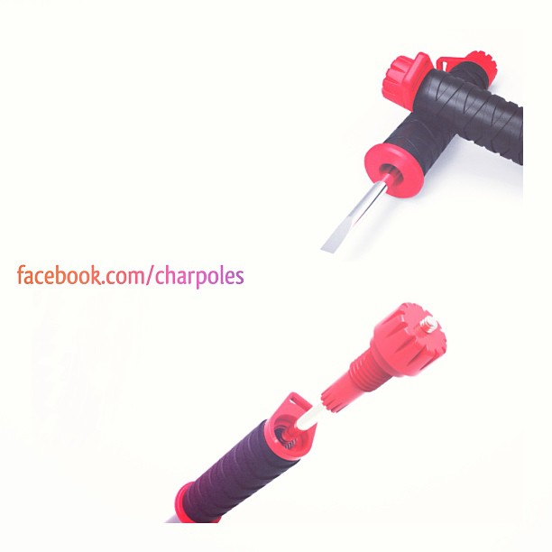 Monopod and Tool In a Ski Pole