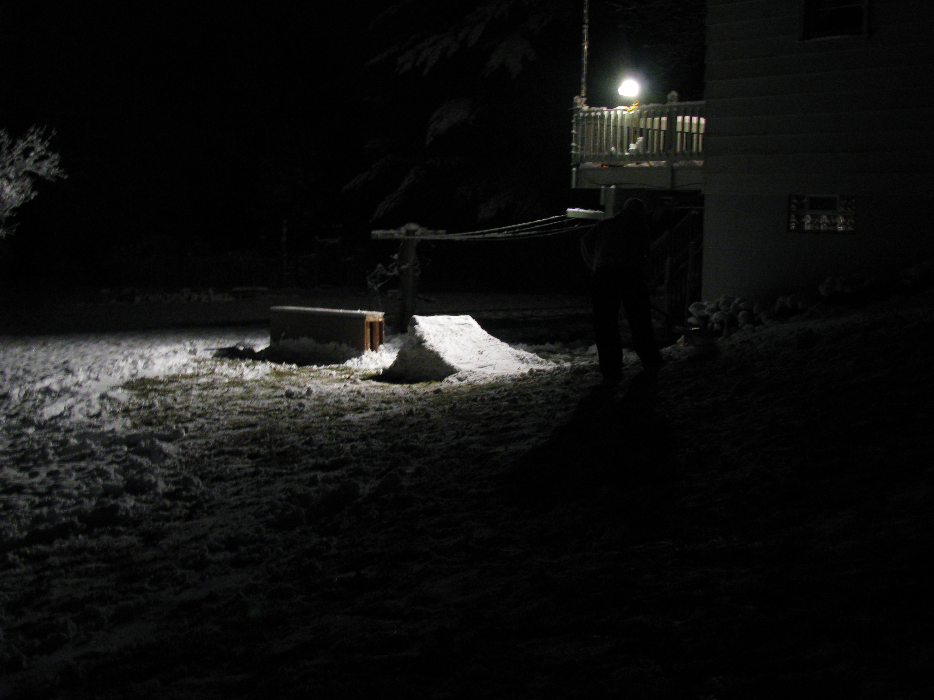 More back yard