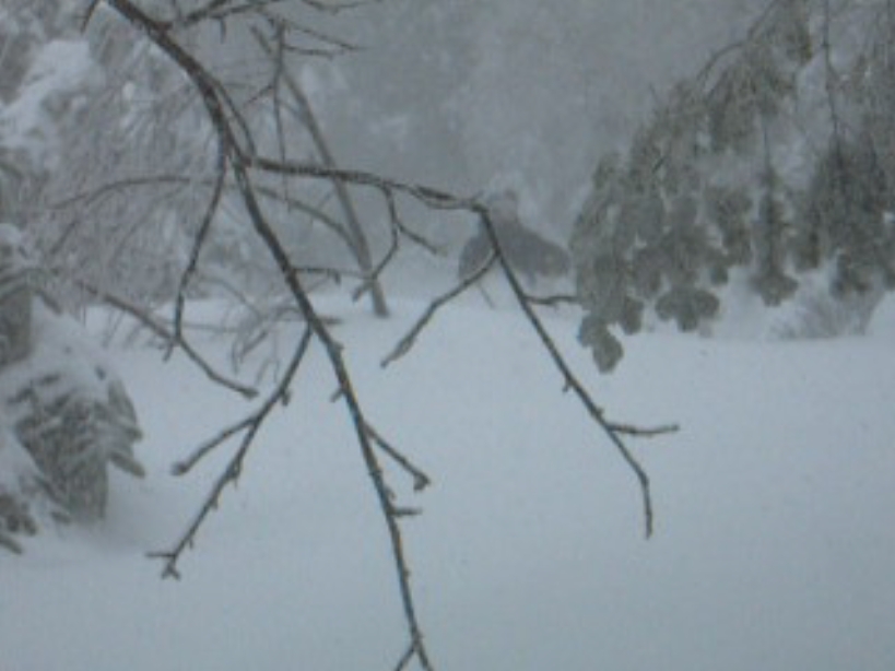 More from Friday 3/21