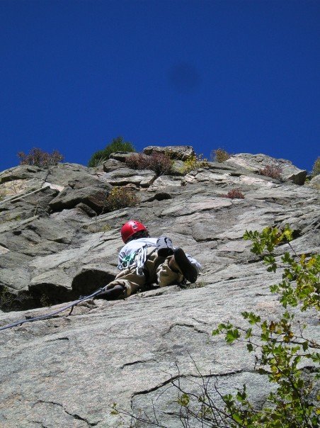 More Nip/Tuck Leading