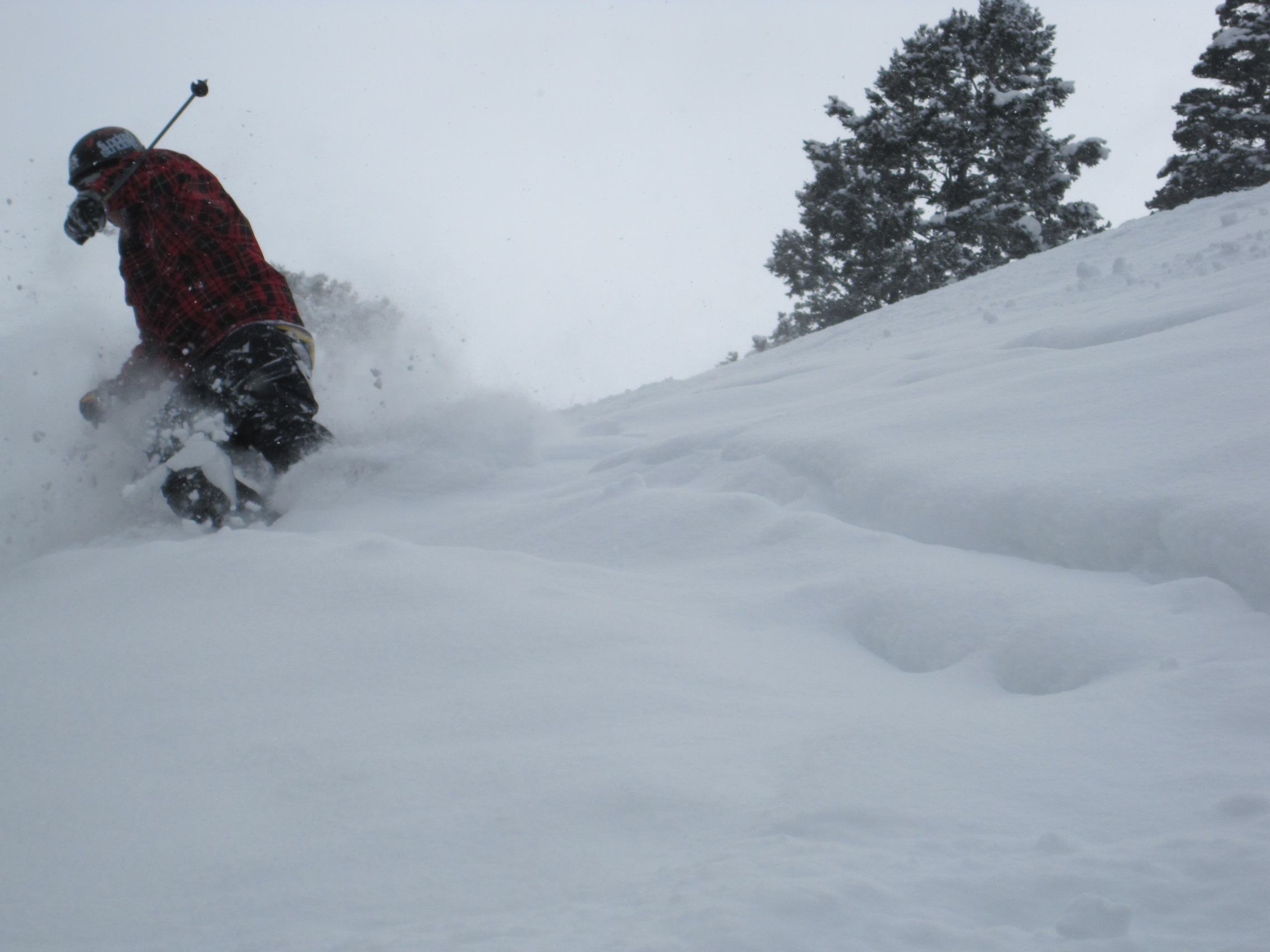 More of the good stuff