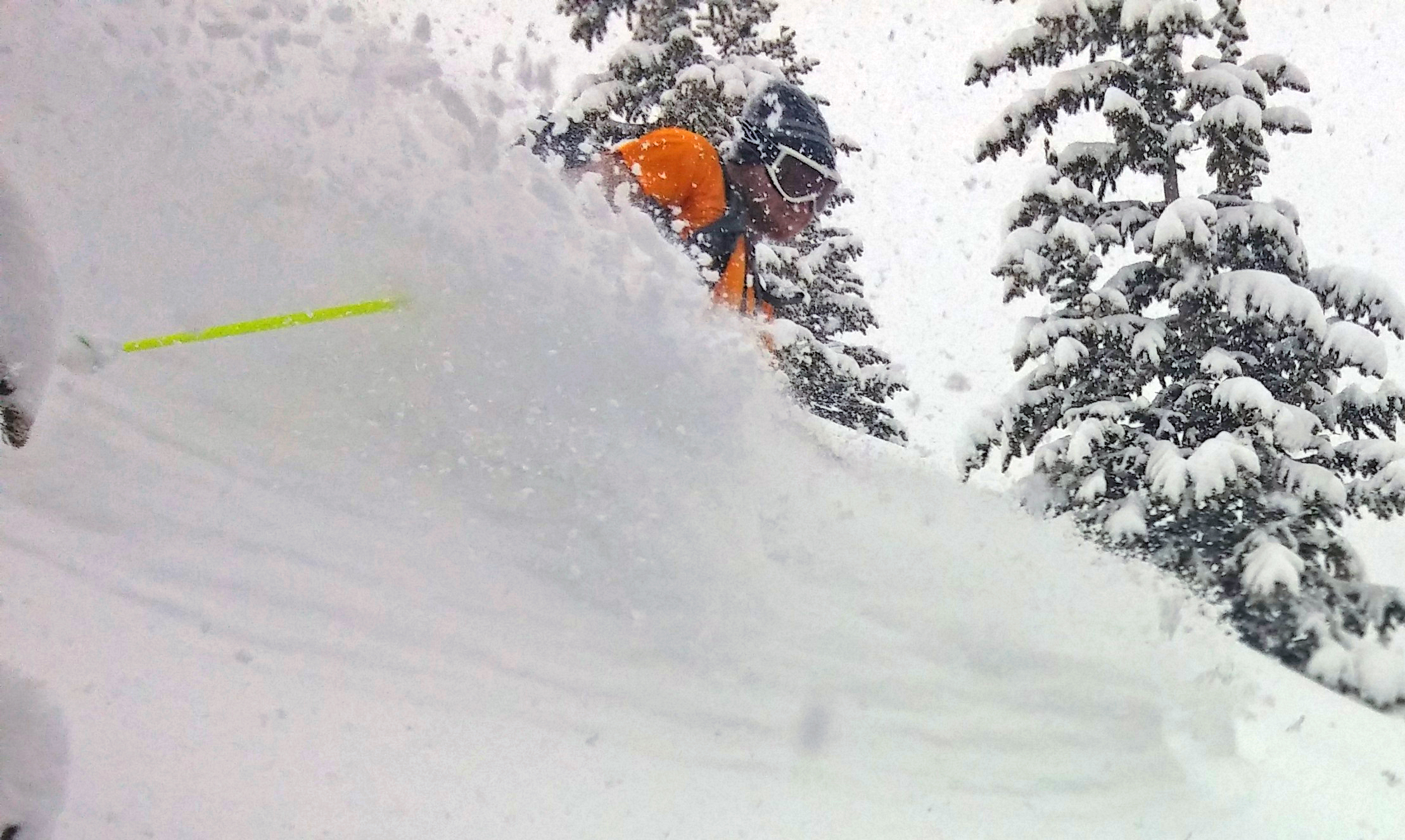 More Pow turns in May