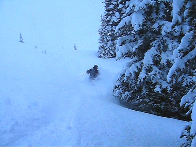 More powder - Northback
