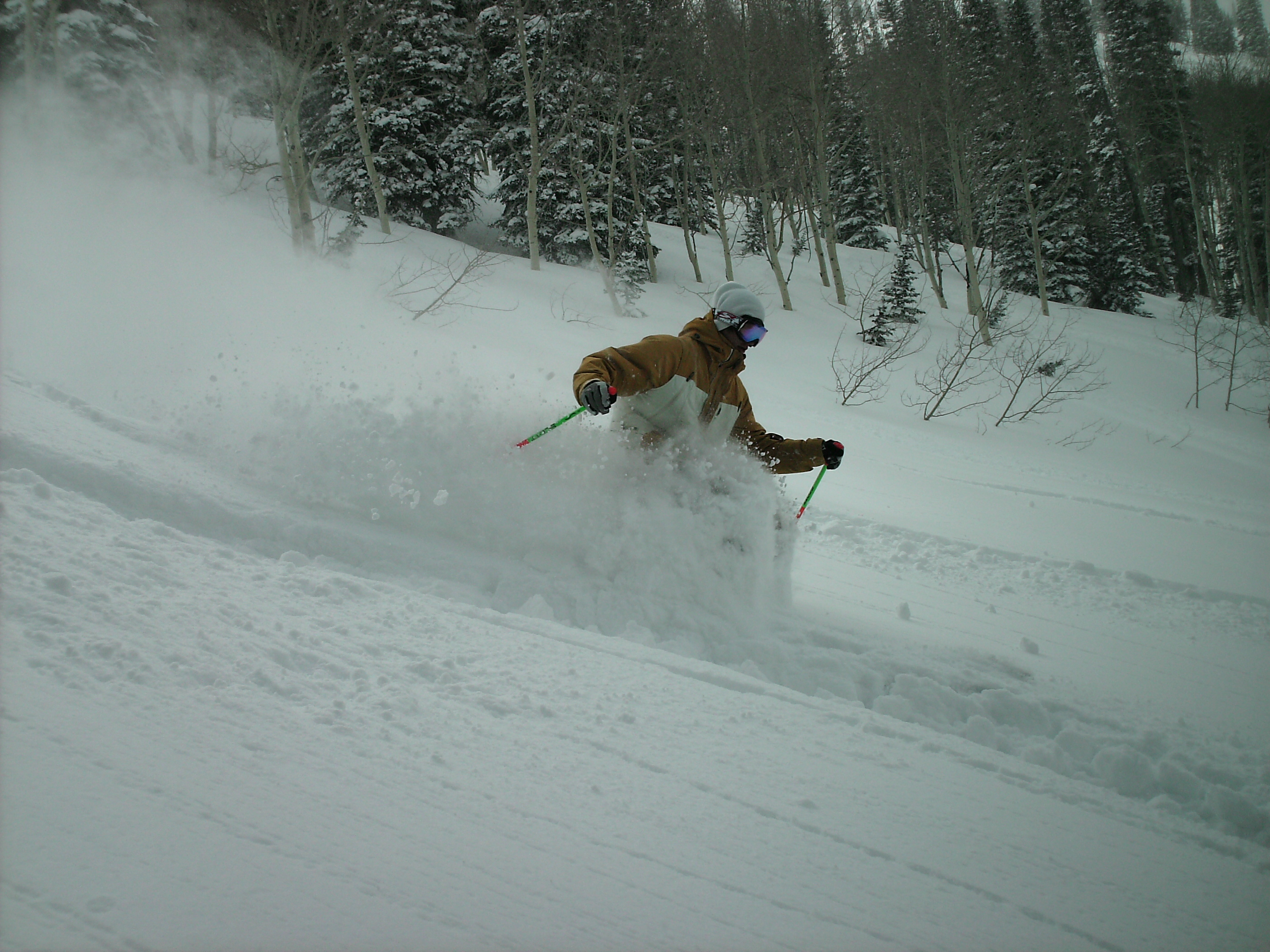 More snowbasin pow