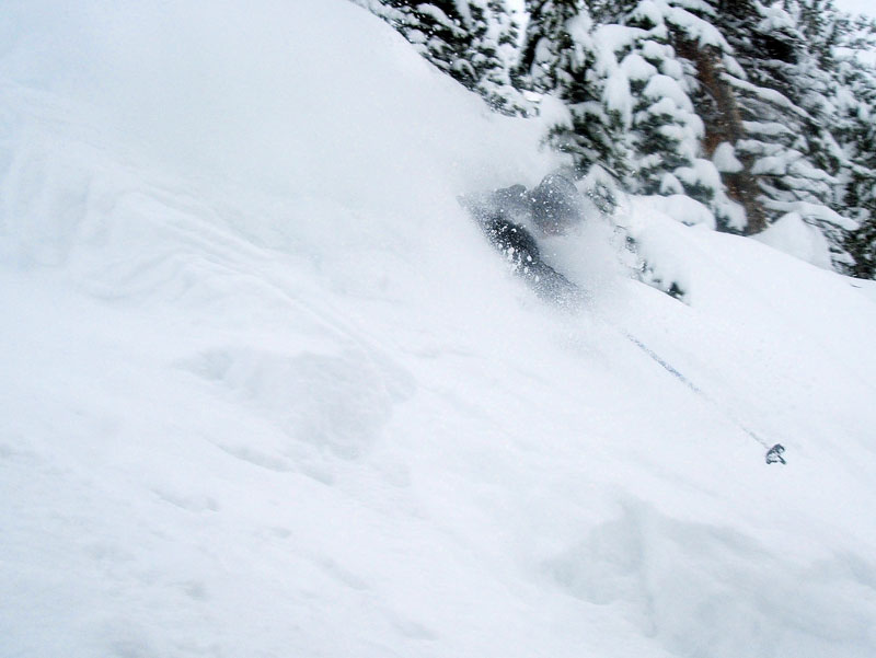 more snowbird pow