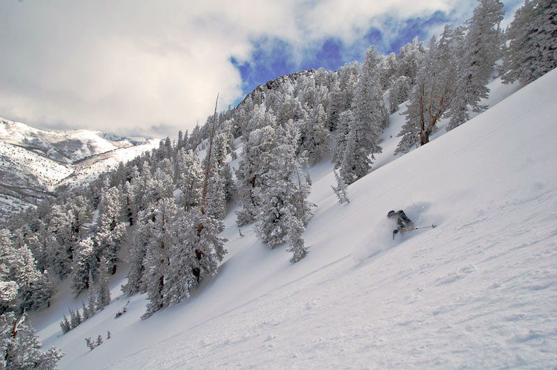 More Spring Skiing Today